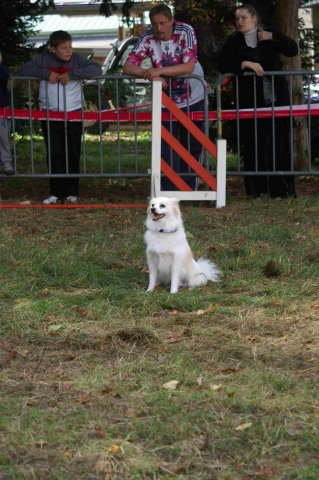foire-haricots 2011-09-17et18